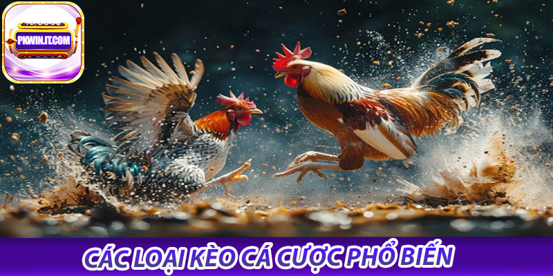 Các loại kèo cá cược phổ biến