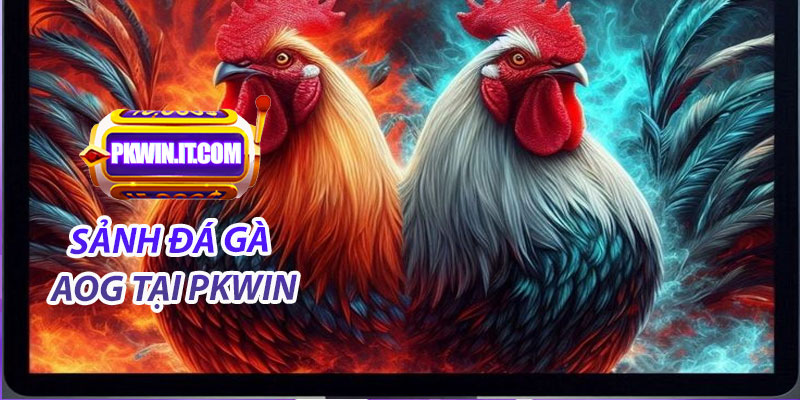Sảnh đá gà AOG tại PKwin