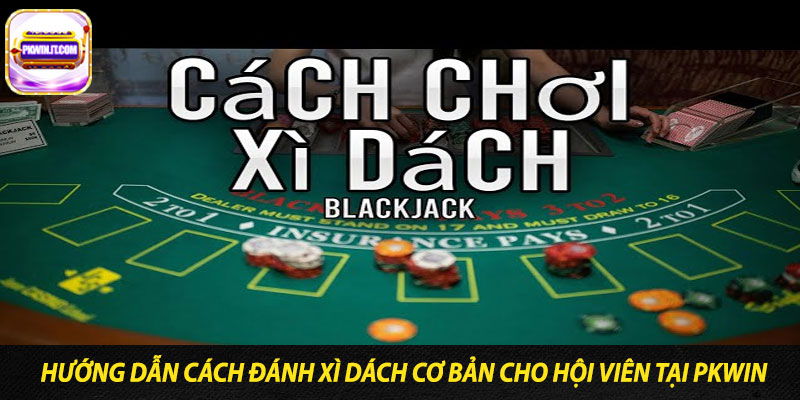 Hướng dẫn cách đánh xì dách cơ bản cho hội viên tại PKwin