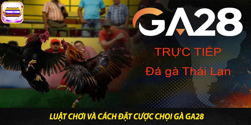 Luật Chơi và Cách Đặt Cược Chọi Gà Ga28
