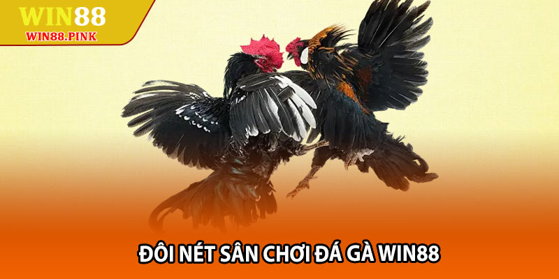 Đá Gà Win88 – Trải Nghiệm Trận Đấu Nảy Lửa Mỗi Ngày 5 Doi net san choi da ga Win88